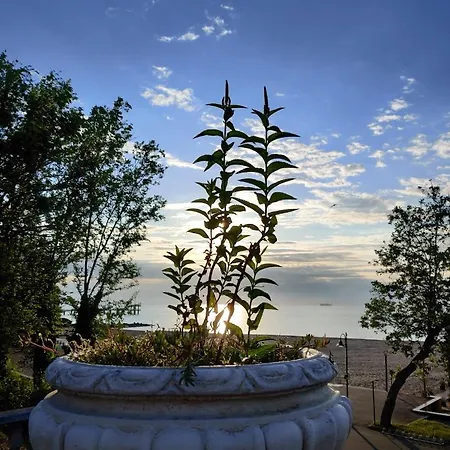 Apartment Anomer 17 *